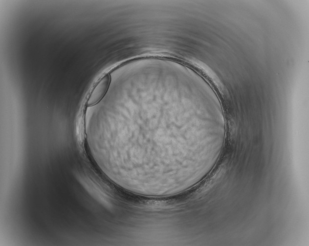 X0000100931371200807221128