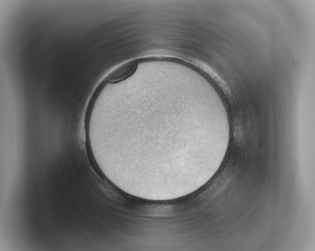 X0000100931372200807221128