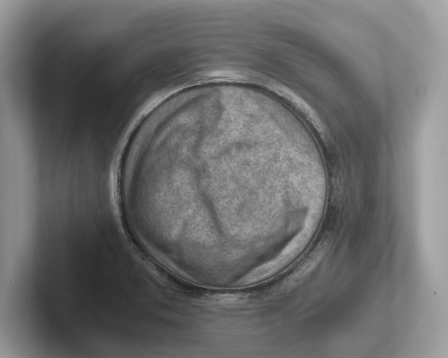 X0000100931373200807221128