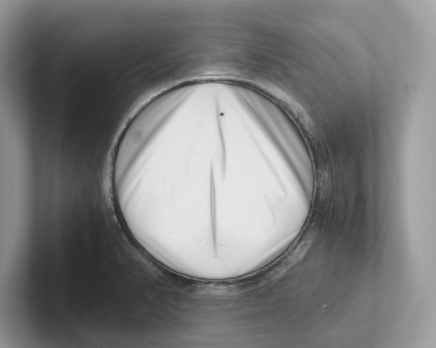 X0000100931374200807221128