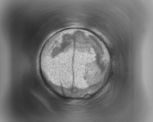 X0000100931375200807221128