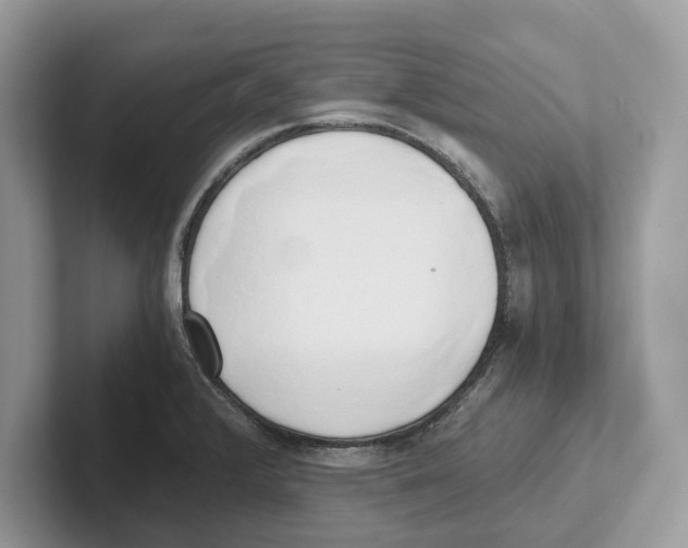 X0000100931376200807221128