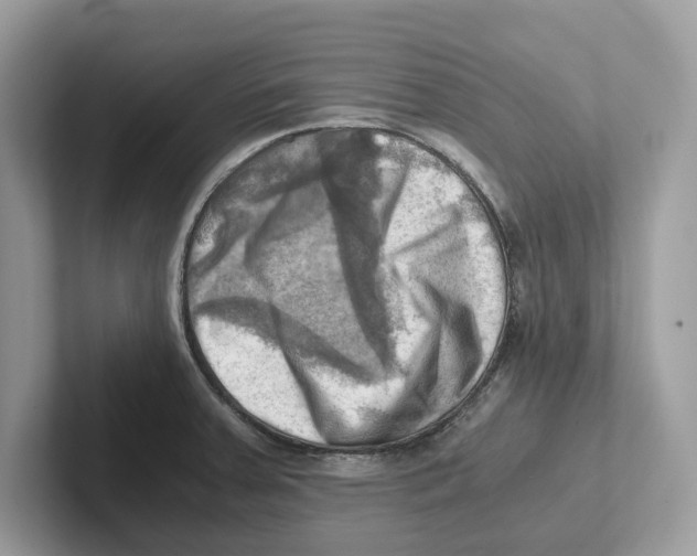 X0000100931379200807221128