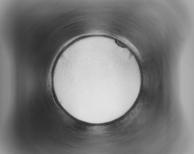 X0000100931380200807221128