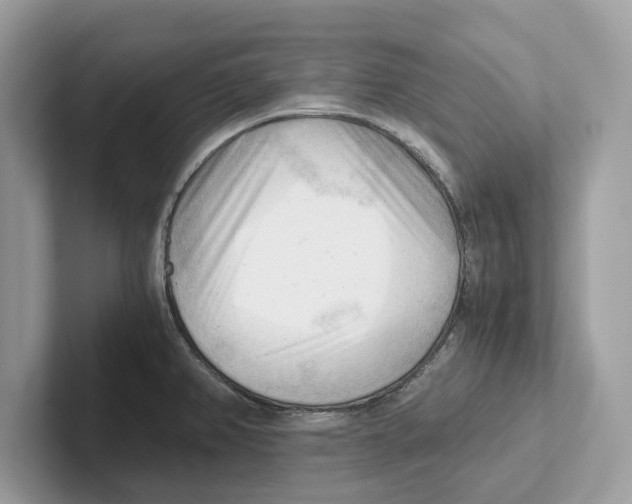 X0000100931382200807221128