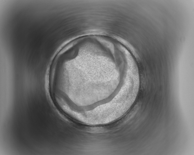 X0000100931383200807221128