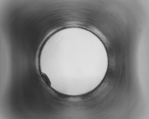 X0000100931384200807221128