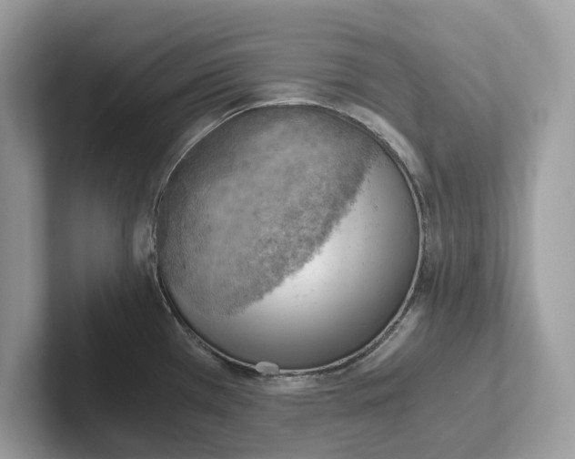 X0000100931385200807221128