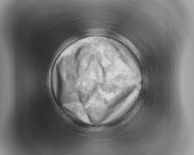 X0000100931386200807221128