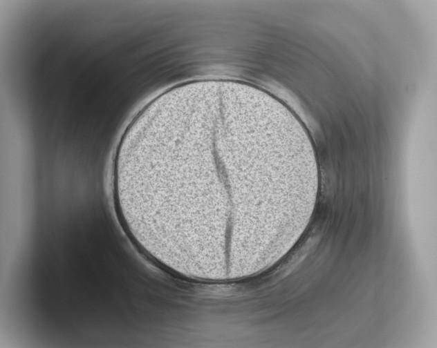 X0000100931387200807221128