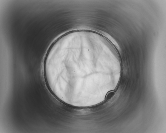 X0000100931388200807221128