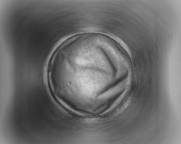 X0000100931389200807221128