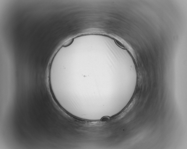 X0000100931390200807221128