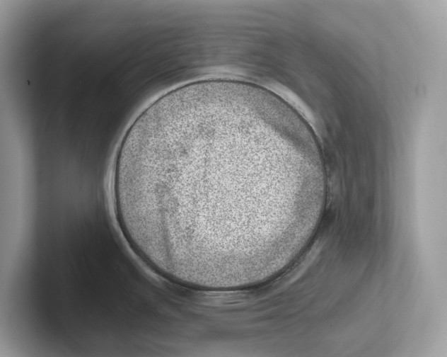 X0000100931391200807221128