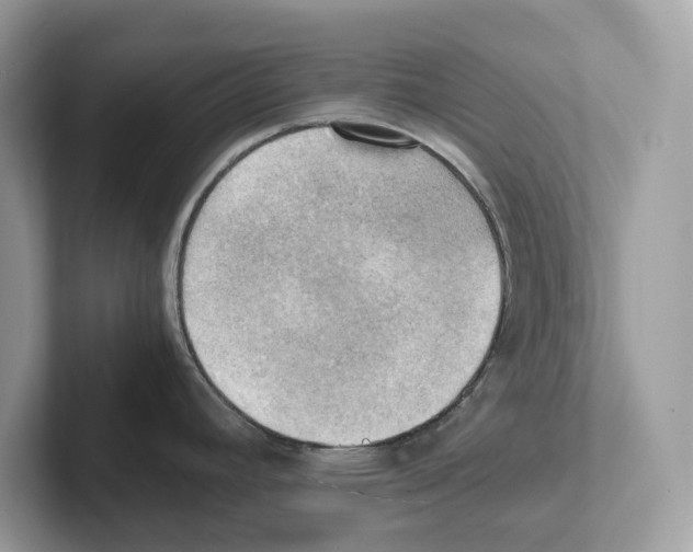 X0000100931392200807221128