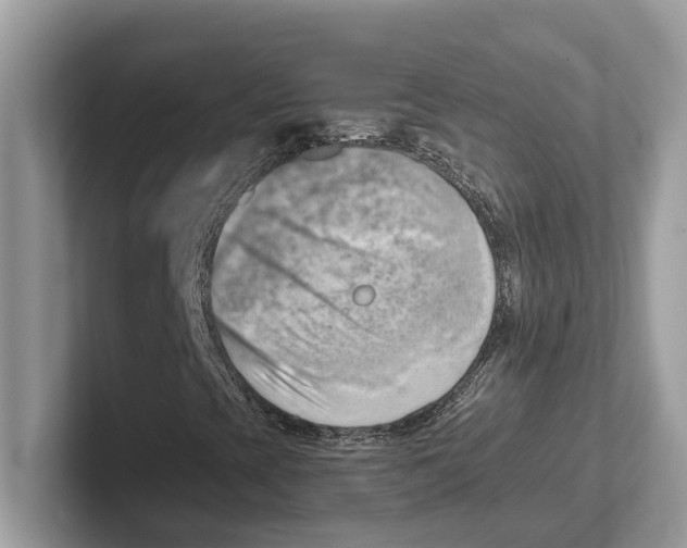 X0000100931393200807221127