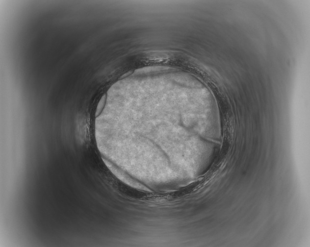 X0000100931394200807221127