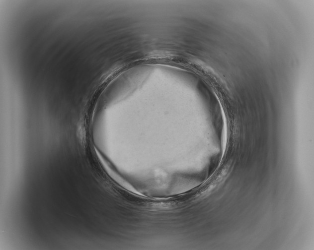 X0000100931401200807221127