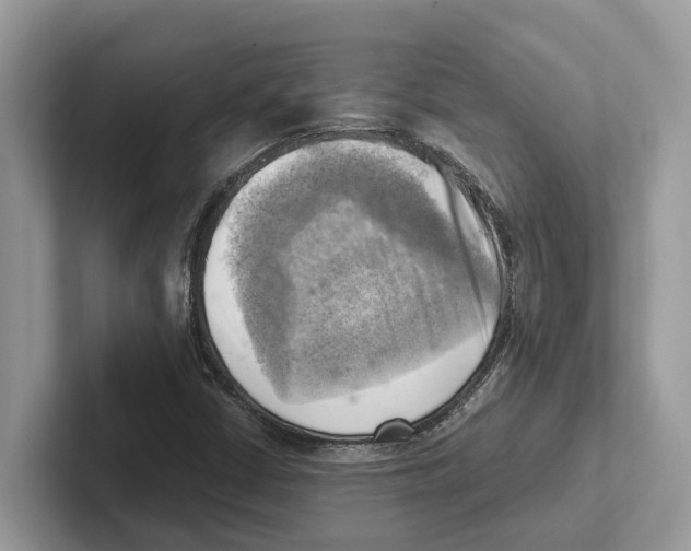 X0000100931402200807221127