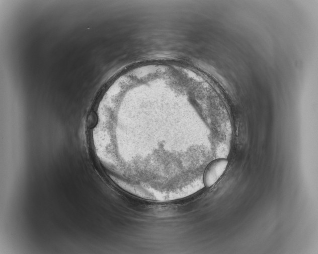 X0000100931404200807221127