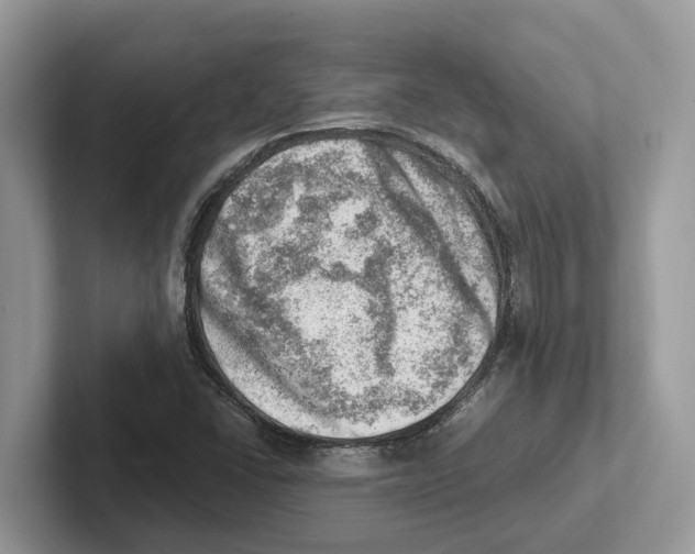 X0000100931406200807221127