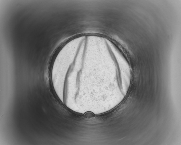 X0000100931408200807221127