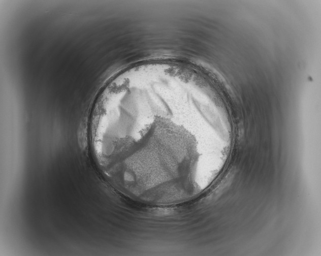 X0000100931409200807221127