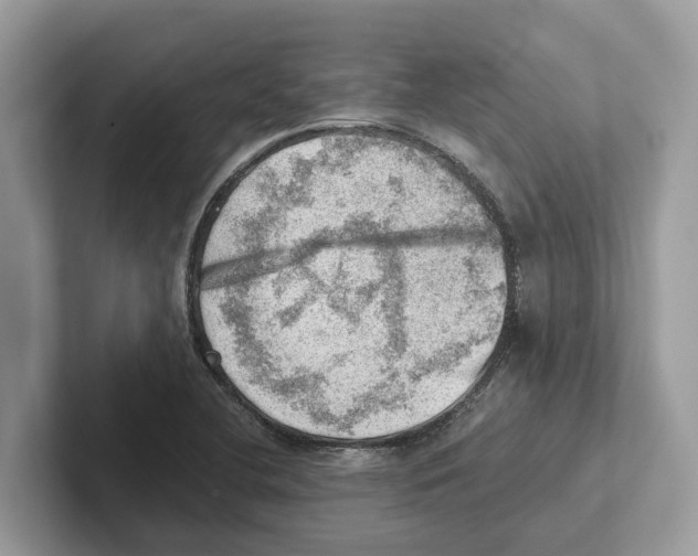 X0000100931412200807221127