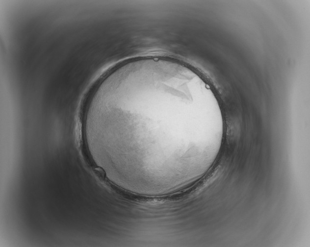 X0000100931414200807221127