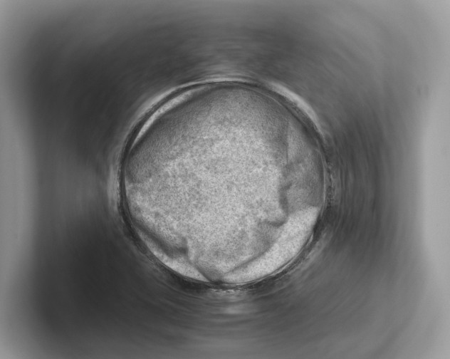 X0000100931415200807221127