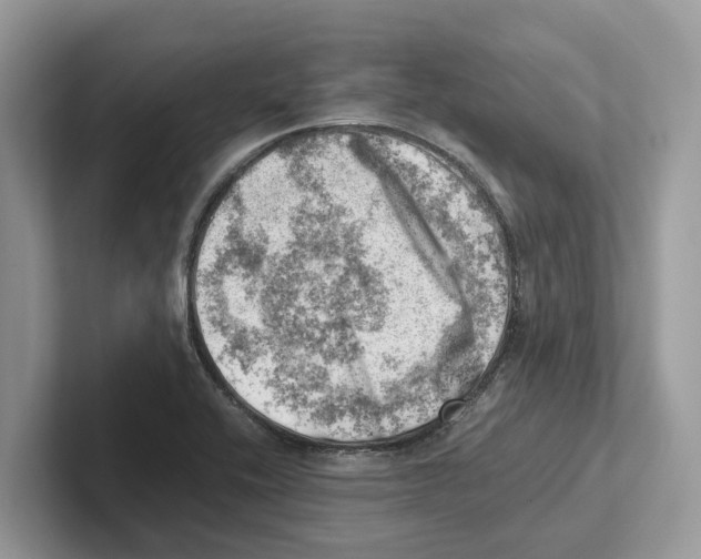 X0000100931416200807221127