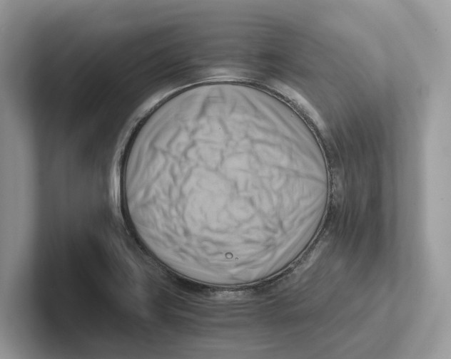 X0000100931419200807221127