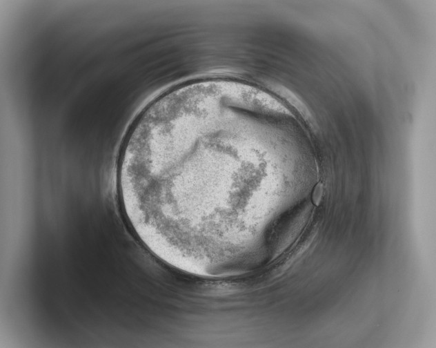 X0000100931420200807221127