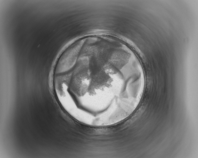 X0000100931421200807221127