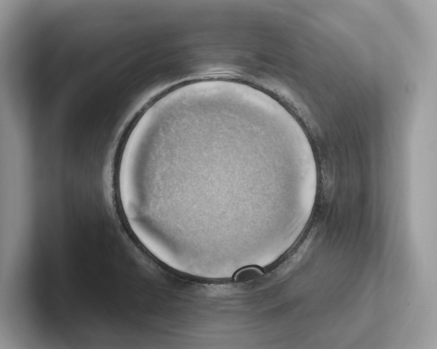 X0000100931422200807221127