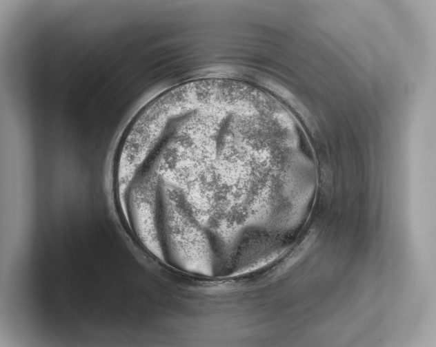 X0000100931426200807221127