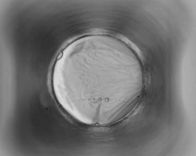 X0000100931429200807221128