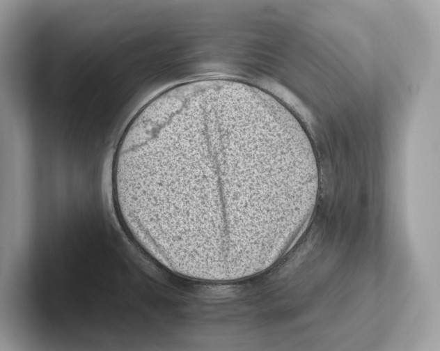 X0000100931431200807221128