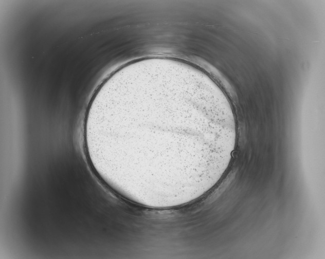 X0000100931432200807221128