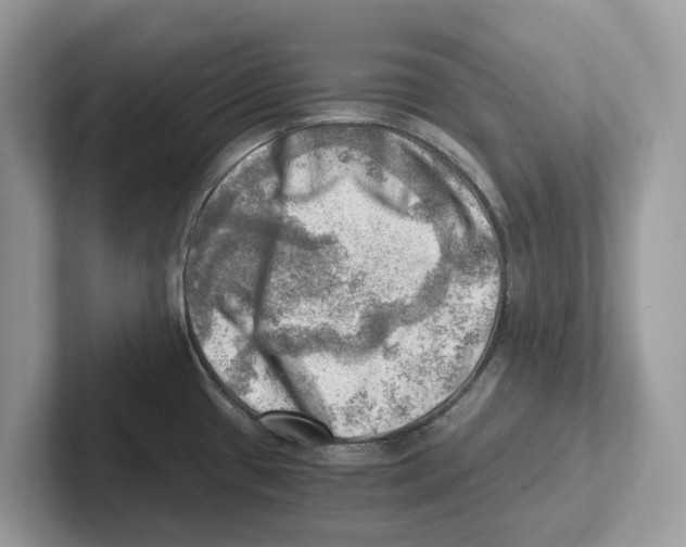 X0000100931433200807221128