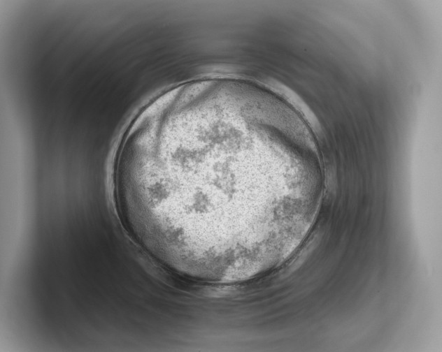 X0000100931435200807221128