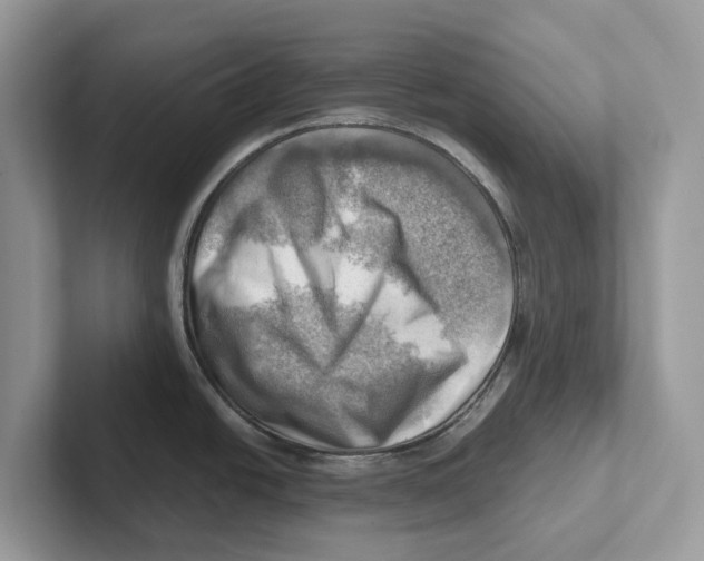 X0000100931438200807221128