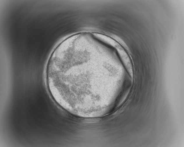 X0000100931440200807221128