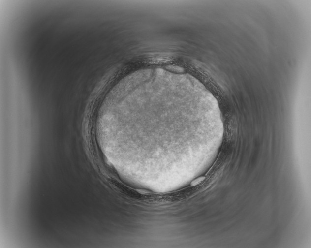 X0000100931441200807221127