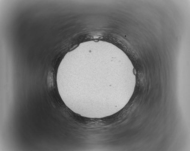 X0000100931442200807221127