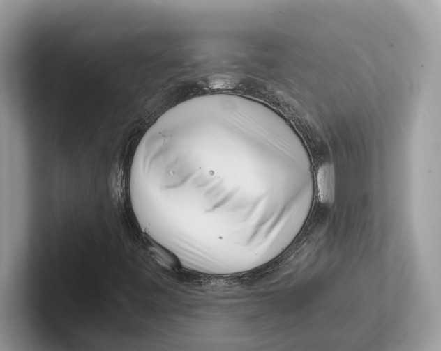 X0000100931443200807221127