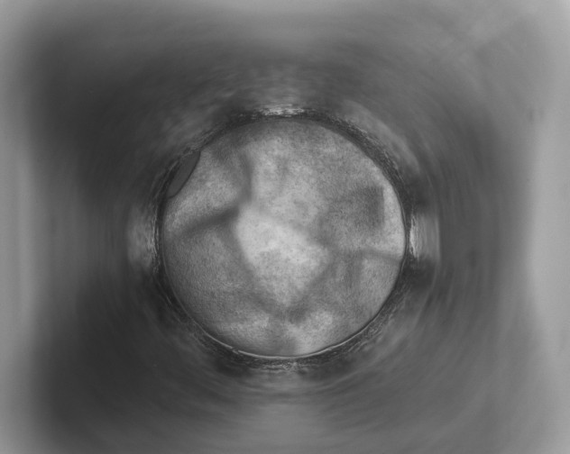 X0000100931444200807221127