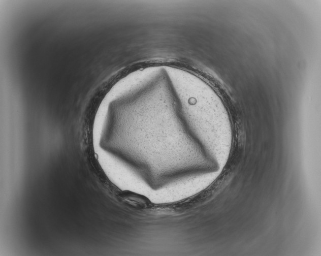 X0000100931448200807221127