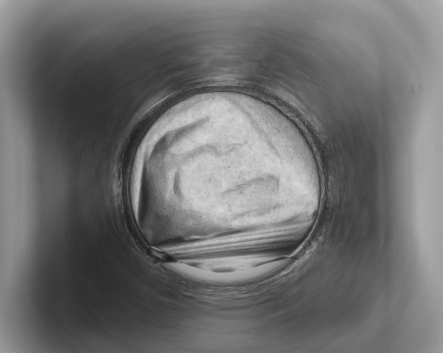 X0000100931450200807221127