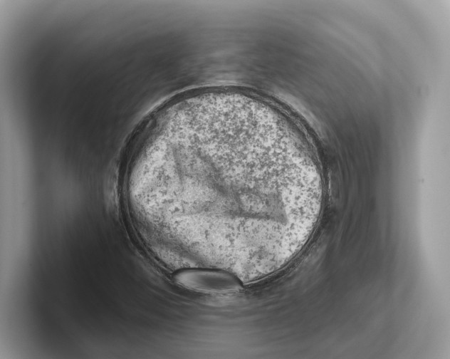 X0000100931452200807221127